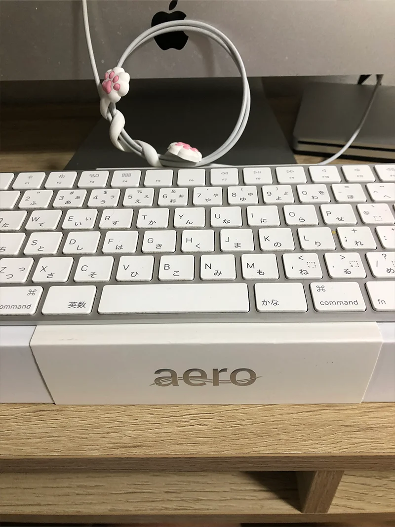 プロが使っているウェストシェイパー「AERO2」を買った