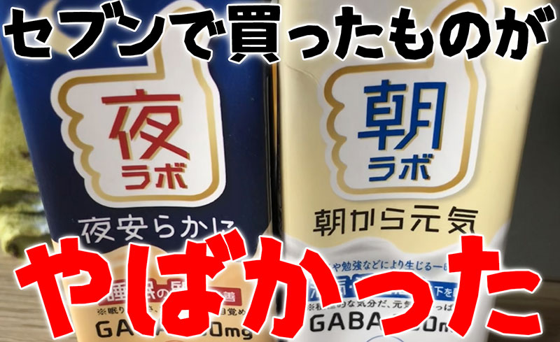 セブンで買ったものがやばかった